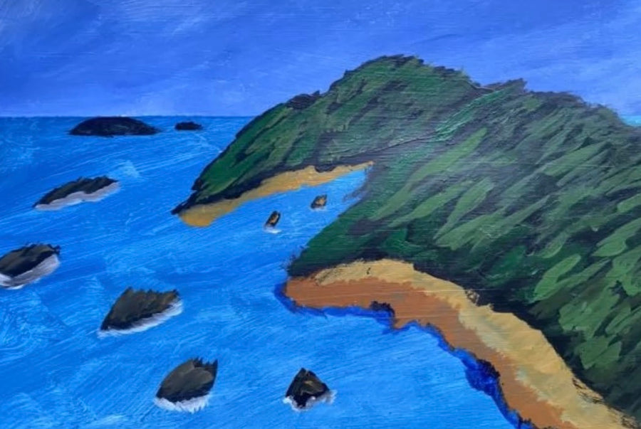 Ariel View