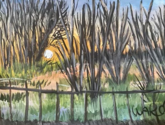 Warmth Sunset