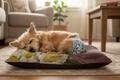 OpenedCreations CUSTOM Pet Bed